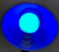 青色LED
